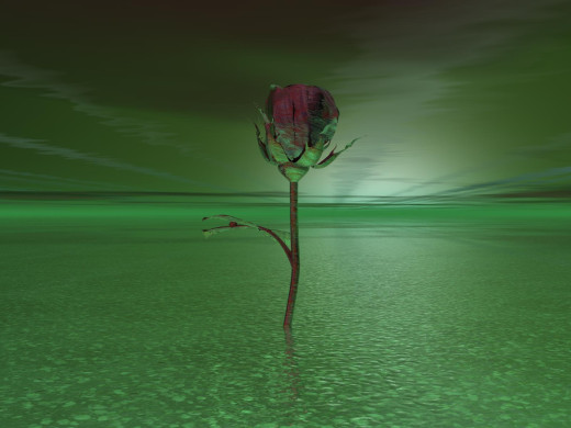 580343 (a): :1600x1200